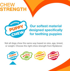 Nylabone New Puppy Starter Kit, 2 Chew Toys and 1 Natural Treat for Puppies, Bacon & Chicken Flavor