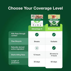 Elanco Advantage II Cat Vet-Recommended Flea Treatment & Prevention | 1-Month Supply