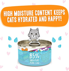 Weruva B.F.F. OMG - Best Feline Friend Oh My Gravy!, Tuna & Salmon Start Me Up with Tuna & Salmon