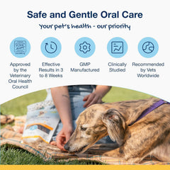NaturVet ProDen PlaqueOff Dental Bones Chicken & Pumpkin