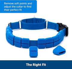PetSafe Soft Point Training Collar - Helps Stop Pulling - Safer Than Prong or Choke Collars - Teaches Better Leash Manners - No Pull Training Collar with Rubber Points for Dogs - Medium