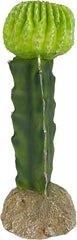 Multi Pet 48593325: Komodo Cactus Plant Moon, 7.5In