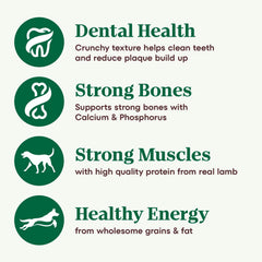 Nutro Natural Choice Adult Dry Dog Food, Lamb and Brown Rice Recipe