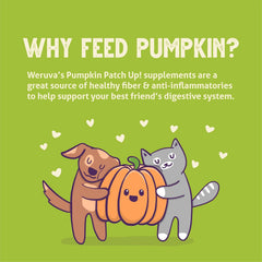 Weruva Pumpkin Patch Up! Pumpkin Puree Pet Food Supplement for Dogs & Cats (Pack of 12)