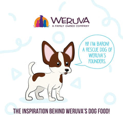 Weruva Meals 'n More Natural Wet Dog Food, Woof Woof Floof! Skin & Coat Health Variety Pack(Pack of 10)