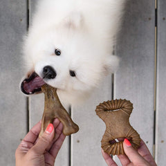 Benebone Tiny 2-Pack Dog Chew Toys, Made in USA, Real Bacon Flavor