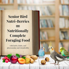 LAFEBER'S Senior Bird Nutri-Berries Pet Bird Food, Made with Non-GMO and Human-Grade Ingredients, 10 oz