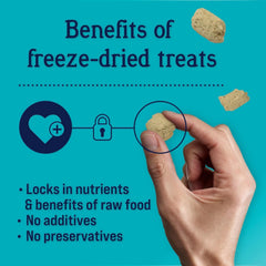 Stewart Freeze Dried Dog Treats, PuffPops Bacon and Cheese Recipe, Gluten Free, 2.8 Ounce Resealable Pouch, Made in USA, Dog Training Treats