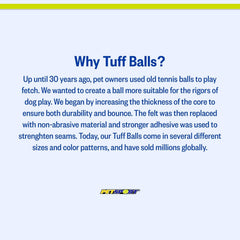 PetSport Tennis Balls for Dogs, Great for Boredom and Aggressive Chewers, Interactive, Certified Non-Toxic, Won’t Wear Down Teeth
