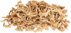 Galápagos (05351) Arid Environment Terrarium Kit Ideal for Reptiles, Amphibians, & Small Critters, 4.5 QT Box, Natural