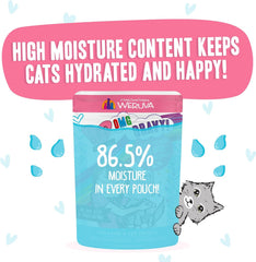 Weruva B.F.F. OMG - Best Feline Friend Oh My Gravy!, Date Nite! with Duck & Salmon in Gravy Cat Food