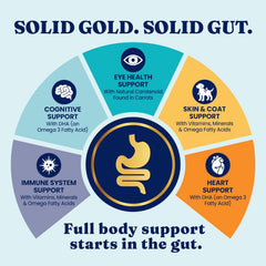 Solid Gold Lamb Dog Food Dry for Adult & Senior Dogs– High Protein Healthy Dog Kibble for Medium & Large Breeds – Whole Grain, Omega 3 & Probiotics for Gut Health & Digestion – Nutrientboost 24-lb