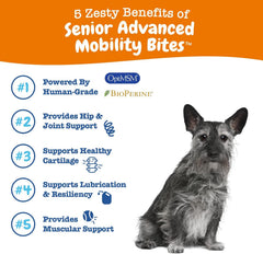 Zesty Paws Mobility Bites Joint Supplement for Dogs - Soft Chews with Glucosamine for Dogs, Chondroitin, & MSM + Vitamins C and E - Adv Chicken - 90 Count