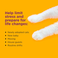 Comfort Zone 30 Day Starter Kit: 1 Cat Calming Diffuser & 1 Refill; Cat Pheromones Help Anxiety; Reduce Stress, Urine Marking, Scratching
