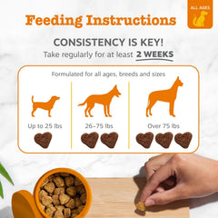 Zesty Paws Dog Allergy Relief- Dog Itching Skin Relief- Dog Probiotics for Itchy Skin and Itchy Ears- Dog Allergy Paw Relief- Dog Allergy Chews- Dog Itch Relief - Dog Skin Allergy Relief - PB - 90ct