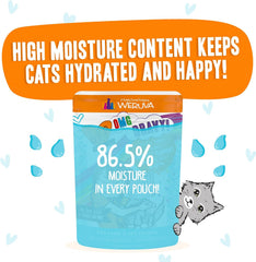 Weruva B.F.F. OMG - Best Feline Friend Oh My Gravy!, Purr-FECT Plannin'! with Chicken, Turkey & Salmon in Gravy Cat Food