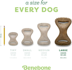 Benebone Dental Durable Dog Chew Toy for Aggressive Chewers, Real Chicken, Made in USA