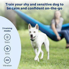 PetSafe 300 Yard Remote Training Collar – Smaller Version for Small or Medium Dogs – Choose from Tone, Vibration, or 15 Levels of Static Stimulation – Medium Range Option for Training Off Leash Dogs