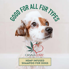 CannaLove Antimicrobial Shampoo