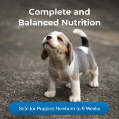 PetLac Powder for Puppies - 10.5 oz - Puppy Milk Replacement Powder for Puppies Newborn to Six Weeks Old - Easy to Digest