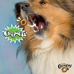 Fromm Crunchy Os Pumpkin Kran Pow Dog Treats - Premium Crunchy Dog Treats - Turkey Recipe.
