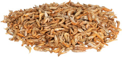 Zilla Reptile Munchies River Shrimp 2 Ounces