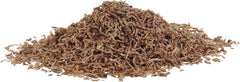 Aqueon® Dehydrated Bloodworms Betta Fish Treats .175 Oz
