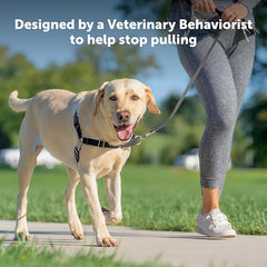 PetSafe Easy Walk No-Pull Dog Harness - The Ultimate Harness to Help Stop Pulling - Take Control & Teach Better Leash Manners - Helps Prevent Pets Pulling on Walks, Small