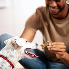 Milk-Bone, Flavor Snacks