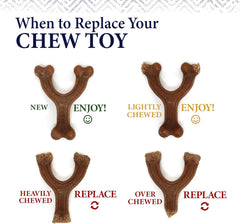 Nylabone Gourmet Style Strong Chew Toy Bundle, Toys for Dogs, Bacon & Chicken Flavor, Small - Up to 25 lbs, 2 Pack
