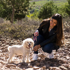 Coastal Pet Styles Adjustable Dog Collar - Stylish Patterned Fabrics - Snap-Lock Buckle - Adjustable Dog Collar - for Small, Medium or Large Dogs - Red Bones