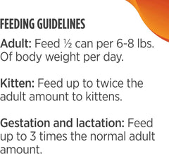 Nulo Turkey & Chicken Pate Wet Canned Cat Food, 12.5 Ounce (Pack of 12)