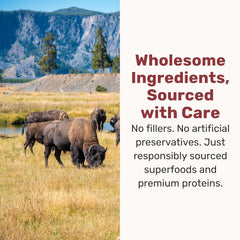 BADLANDS RANCH Superfood Nuggets – Bison & Kale Freeze-Dried Dog Treats (8 oz Bag)