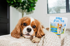 N-Bone FLOSSta Dental Chews for Dogs – Mint Flavor, No Dyes, Grain-Free, Breath Freshening, Plaque & Tartar Control, Digestible Teething Aid