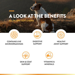 NaturVet All-in-One Dog Supplement - for Joint Support, Digestion, Skin, Coat Care – Dog Multivitamins with Minerals, Omega-3, 6, 9 – Wheat-Free Vitamins for Dogs – 60 Soft Chews