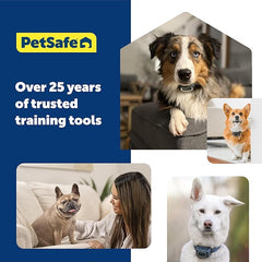 PetSafe Dancing Dot Laser Cat Toy - Interactive Playtime for Cats - 2 Play Modes