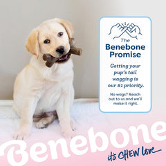 Benebone Puppy Maplestick Dog Chew Toy, Made in USA, Real Maple Wood Flavor, Small, Brown