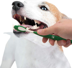 Nylabone Advanced Oral Care Natural Dog Dental Kit Peanut Flavor