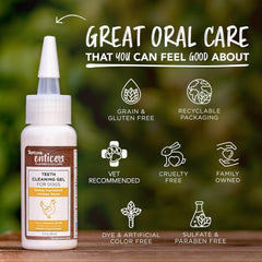 TropiClean Enticers Dog Teeth Cleaning Treat Gel | 2 oz