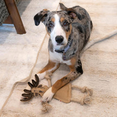 SPOT Dura-Fused Leather Forest Animals - Dog Toy with Squeaker and Rope Limbs, Real Leather and Jute Chew Toy, Durable No-Stuffing Toy For Light to Moderate Chewers - 14in, Assorted Styles, 1 Piece