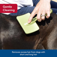 Safari Dog Soft Slicker Brush - Dog Grooming Brush for Shedding - for Dogs with Short, Medium and Long Hair