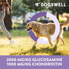 DOGSWELL Hip & Joint Dog Treats 100% Meaty, Grain Free, Glucosamine Chondroitin & Omega 3, Chicken Soft Strips 12 oz