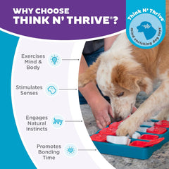 Nina Ottosson Dog Brick Treat Puzzle Enrichment Toy, Level 2 Intermediate Game, Blue