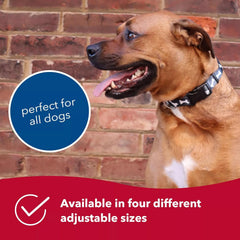 Coastal Pet Styles Adjustable Dog Collar - Stylish Patterned Fabrics - Snap-Lock Buckle - Adjustable Dog Collar - for Small, Medium or Large Dogs - Pink Dots