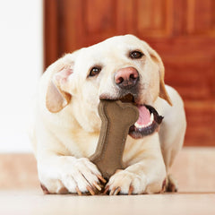 SPOT Dura-Fused Chunkies- All Natural Leather and Felt Dog Toy- Durable, Long Lasting, Extra Thick Dog Chew Toy for Aggressive Chewers, Great for Adult Dogs and Teething Puppies