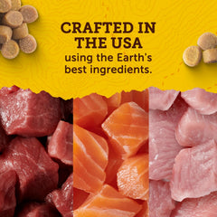 Zuke's Puppy Naturals Salmon Recipe Puppy Dog Treats, 5-oz pouch