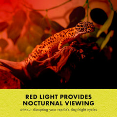 Click to see full view Zilla Reptile Terrarium Incandescent Heat Spot Bulb, Night Red