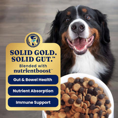 Solid Gold Salmon Dog Food for Sensitive Stomachs – Grain Free & Gluten Free Kibble w/Probiotics to Support Gut Health & Digestion - Sensitive Stomach Dog Food for All Ages – Nutrientboost™ 22-lb
