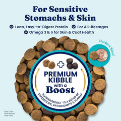 Solid Gold Salmon Dog Food for Sensitive Stomachs – Grain Free & Gluten Free Kibble w/Probiotics to Support Gut Health & Digestion - Sensitive Stomach Dog Food for All Ages – Nutrientboost™ 22-lb