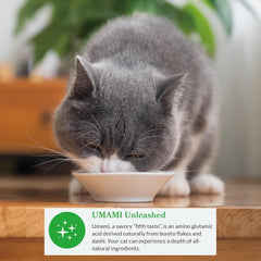 INABA Dashi Delights for Cats, Shredded Chicken with Bonito Flake Broth, 2.5 Ounce Cup, 6 Cups Total, Chicken with Salmon Recipe